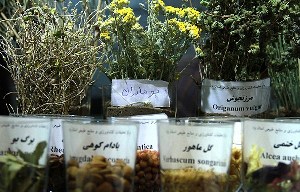 بالا بودن ارزش افزوده کشت گیاهان دارویی