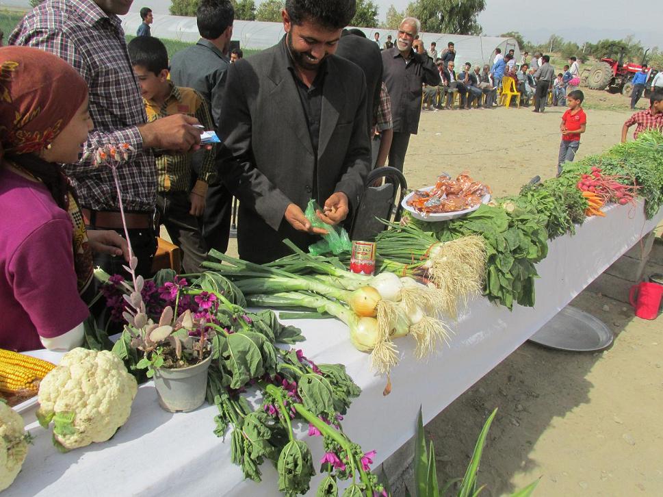 دومین جشنواره ی سبزی و صیفی جات در جیرفت