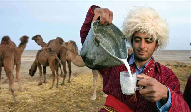 برخورد با فروشندگان شیرشترغیربهداشتی