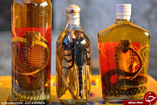 خوراکی&zwnj;های عجیب&zwnj;وغریب در گوشه و کنار دنیا+تصاویر