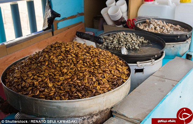 خوراکی&zwnj;های عجیب&zwnj;وغریب در گوشه و کنار دنیا+تصاویر