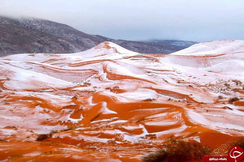 از توهم نتانیاهو درباره جنگ سوریه تا گران شدن طلا و بارش برف در صحرای بزرگ آفریقا+تصاویر