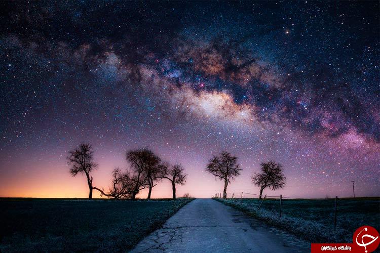 زیبایی شب&zwnj;های ستاره باران+تصاویر