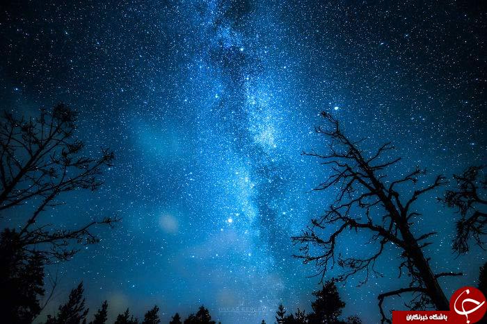 زیبایی شب&zwnj;های ستاره باران+تصاویر