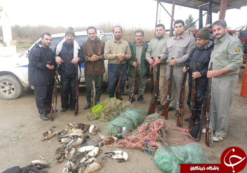 شکارچیان پرنده در دام قانون + تصاویر