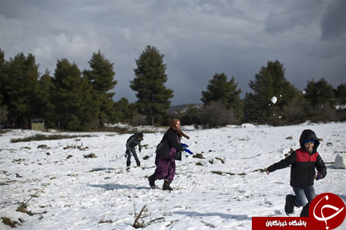 از به پرواز درآمدن 50 هزار بادکنک تا شلیک به سمت بانوی فلسطینی