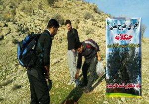 درختکاری در 24 هکتار از عرصه های منابع ملی لنده