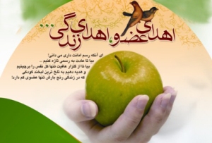 اهدای عضو اهدای زندگی دوباره