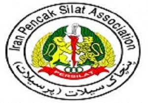 باید تمرکز بیشتر خود را بر روی ورزشهای المپیکی بگذاریم