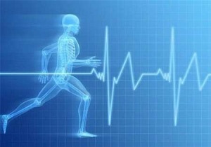 افزایش تعداد بیمه شدگان ورزشی در استان اردبیل