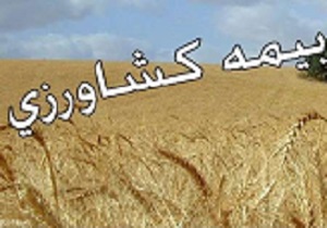 تمدید مهلت بیمه كشت‌های پاییزه مناطق گرمسیری كرمانشاه