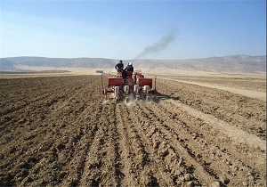 اختصاص 38 هزار هکتار از اراضی پارس‌آباد به کشت پاییزه