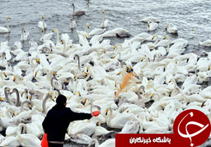نگاهی گذرا به مهمترین رویدادهای 11 دی در مازندران