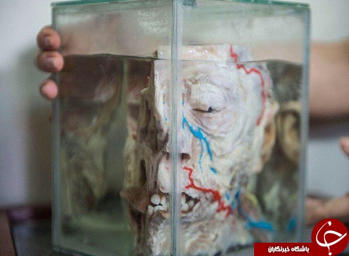 تصاویر/ ترسناک&zwnj;ترین موزه جهان که ورود به آن جرأت می&zwnj;طلبد