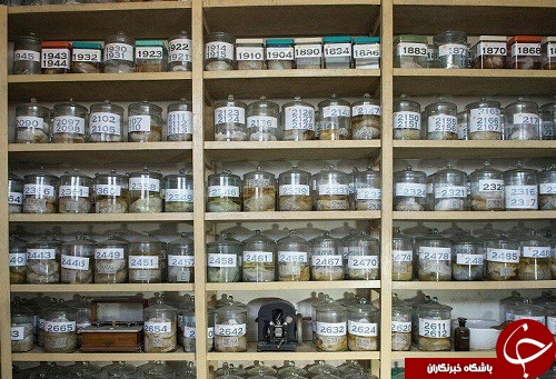 تصاویر/ ترسناک&zwnj;ترین موزه جهان که ورود به آن جرأت می&zwnj;طلبد