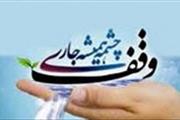 نیت واقف زنجانی برای بیماران خانواده شهدا اجرا شد.