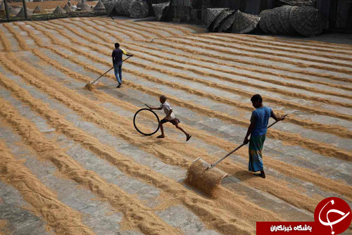 از مرتفع&zwnj;&zwnj;ترین پل جهان در چین تا جشن&zwnj;های سال نو میلادی در سراسر جهان////////////////