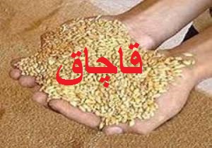 کشف محموله 78 تنی گندم قاچاق در گلستان