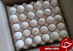 ضبط بیش از100کیلوگرم تخم مرغ فاسد از شیرینی فروشی ها