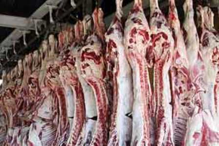 ضبط و معدوم سازی 71 تن لاشه گوشت در همدان