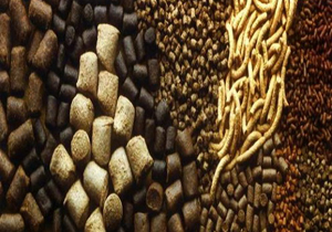 چهارمحال و بختیاری قطب تولید خوراک آبزیان کشور