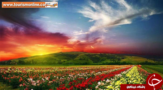عکس/ رنگی&zwnj;ترین پارک دنیا را ببینید