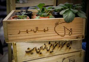 کارتن‌خواب‌هایی که گُل‌فروش شدند