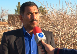کاهش 30 درصدی مصرف آب با کشت گلخانه ایی