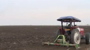 اجرای طرح پهنه بندی گندم در گلستان