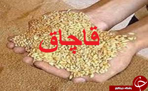 مهمترین حوادث یکشنبه 12 دی در گلستان