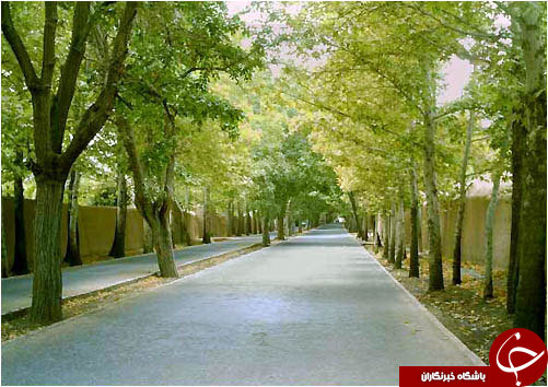 وضعیت مهمترین بنای خشتی جهان در کرمان/ راین؛ خواهر کوچک ارگ بم