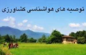 توصیه های جدید هواشناسی به کشاورزان گلستانی