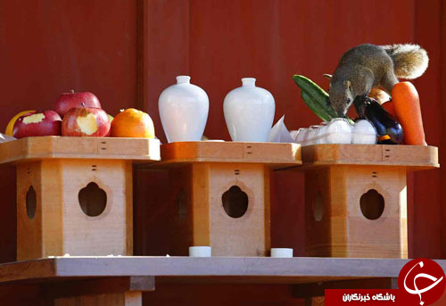 از  رژه خودروها با موتور بخار تا عزاداری برای قربانیان حمله تروریستی در استانبول