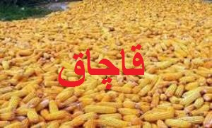 كشف بيش از 86 تن ذرت قاچاق در آق‌قلا