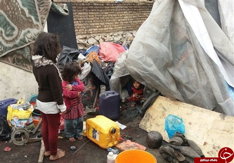 جزئیات زندگی یک خانواده لرستانی زیر پلاستیک+ تصاویر