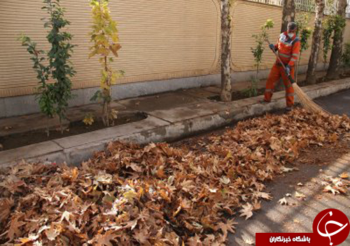 کمک به بازگشت دوباره برگ ها به چرخه طبیعت