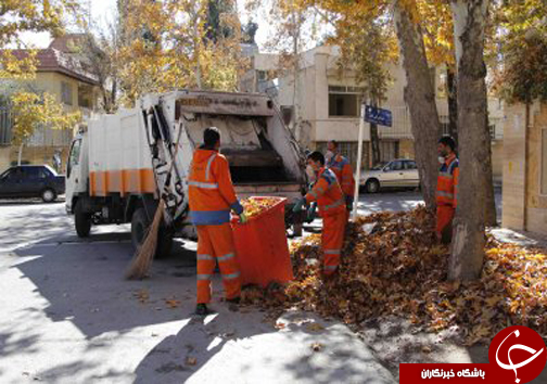 کمک به بازگشت دوباره برگ ها به چرخه طبیعت