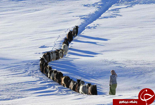از ملاقات عمومی امپراتور ژاپن با مردم تا حیرت عکاس ایتالیایی از زیبایی&zwnj;های معماری ایران////////////////////