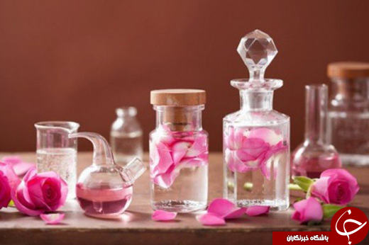 عطر گل محمدی در فضای علمی می پیچد/ از تولید معجون تا رایحه درمانی