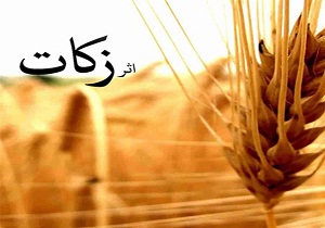 جمع آوری زکات در استان سمنان