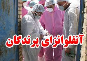 نبود بیماری آنفلوانزای پرندگان در جهرم