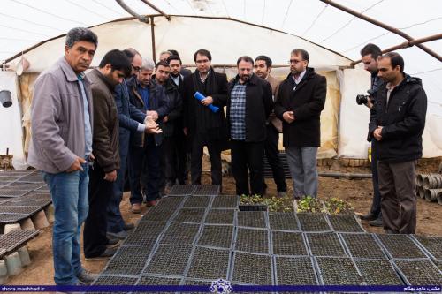 تامین گل و گیاه خراسان رضوی با استفاده ازظرفیت بومی