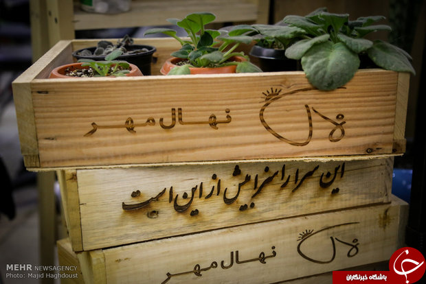 کارتن&zwnj;خواب&zwnj;هایی که گُل&zwnj;فروش شدند