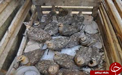 مهمترین حوادث چهارشنبه 15 دی در گلستان