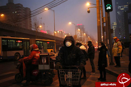 از  بچه کانگورو در آغوش راجر فدرر تا توپ ساخته شده از پوست گوزن