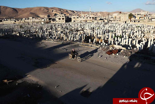 از  بچه کانگورو در آغوش راجر فدرر تا توپ ساخته شده از پوست گوزن