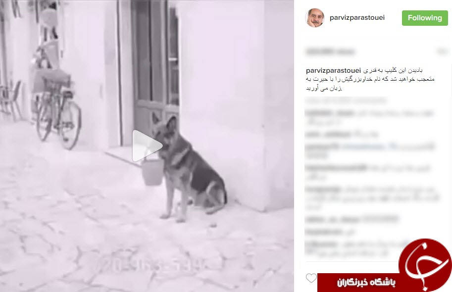 کلیپی که شما را حیرت زده خواهد کرد+فیلم
