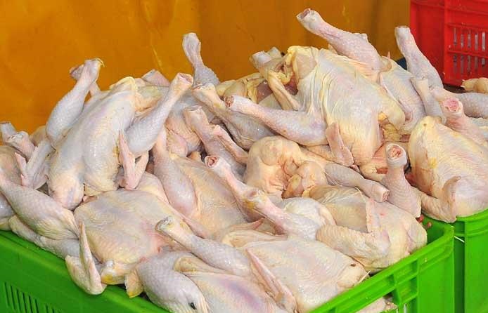 اقدامات وزارتبهداشت در مواجهه با آنفولانزای مرغی/ گرانی گوشت ربطی به شیوع آنفولانزا ندارد اقدامات وزارتبهداشت در مواجهه با آنفولانزای مرغی/ گرانی گوشت ربطی به شیوع آنفولانزا ندارد