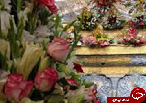 از تصادف جاده ممسنی تا پیوستن شیراز به شهرهای میزبان جام جهانی فوتسال