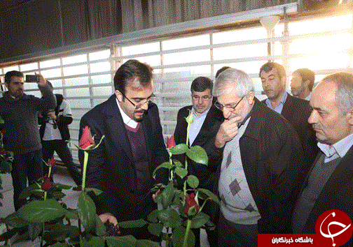 بازدید رئیس بنیادمستعضعفان از دو واحد تولیدی
